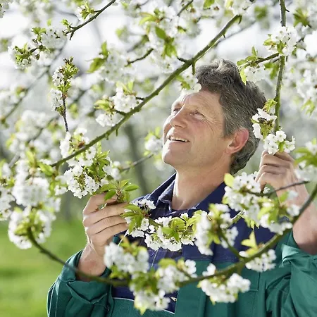 Winzerhof Woerner * Durbach