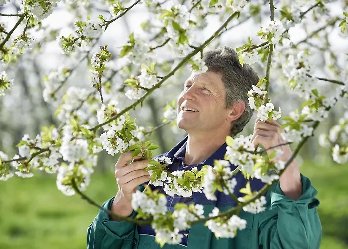 Winzerhof Wörner * Durbach